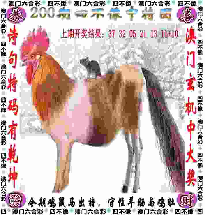 中国女篮22分优势击败韩国队 取得亚洲杯小组赛两连胜